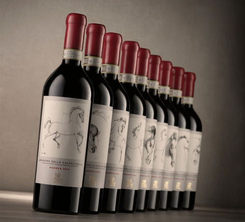 Falezze Amarone Della Valpolicella Riserva 2015 Art Collection