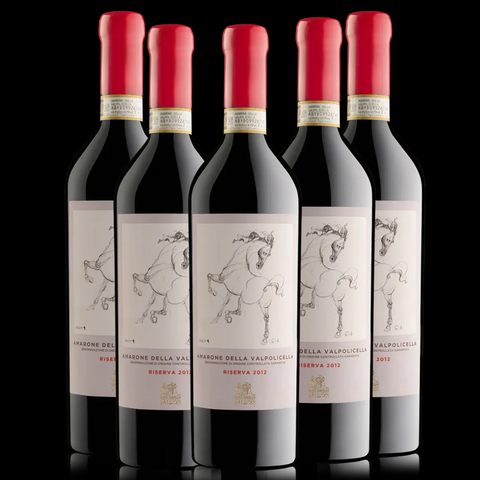 Falezze Amarone Della Valpolicella Riserva 2015 Art Collection